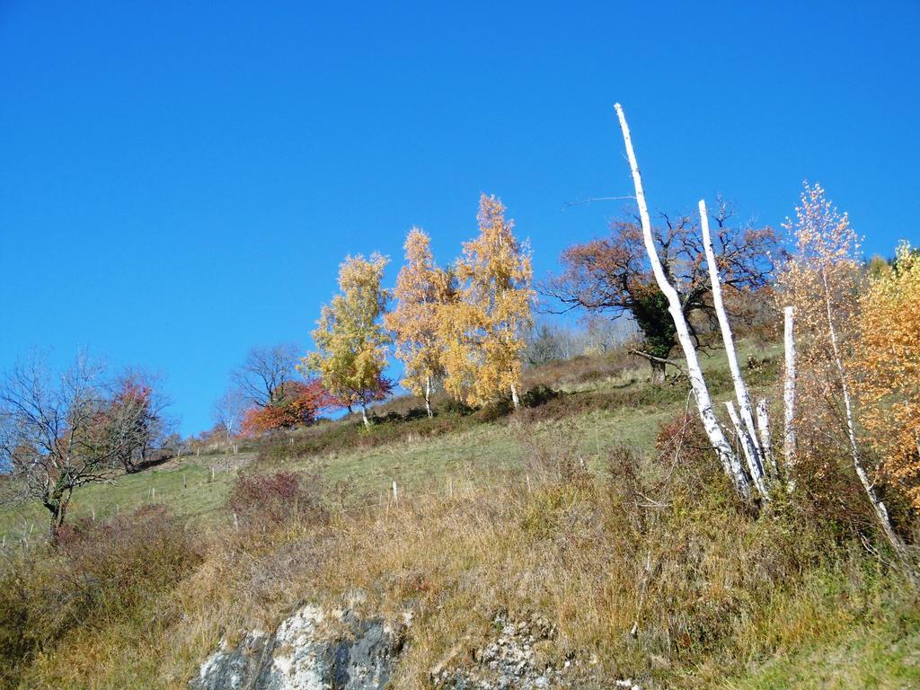 Gite Au Coeur Du Chalet En Belledonne Vers Prapoutel Les 7 Laux Sainte-Agnès Δωμάτιο φωτογραφία